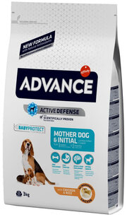 Advance Mother Dog & Initial фото