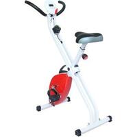 American motion fitness 4203