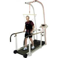 American motion fitness 8230