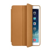 Apple iPad Air SmartCase MF047 фото