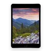 Apple iPad mini 3 64Gb Wi-Fi