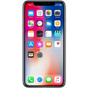 Apple iPhone X 256GB фото