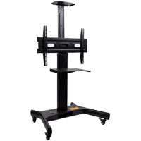 ARM MEDIA PT-STAND-11