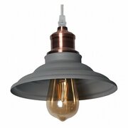 Arte Lamp 5067 A5067SP-1GY фото