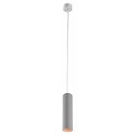 ARTE Lamp A1524SP-1GY