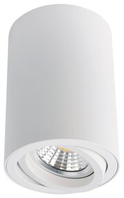 Arte Lamp Sentry A1560PL-1WH фото