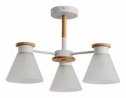 Arte Lamp Tyler A1031PL-3WH фото