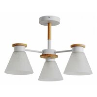 Arte lamp Tyler A1031PL-3WH