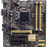 ASUS B85M-C/C/SI фото