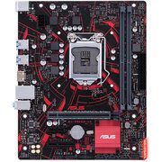 ASUS EX-B360M-V3 фото