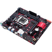 ASUS EX-B360M-V5 фото