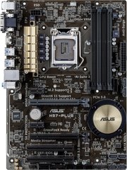 ASUS H97-PLUS фото