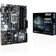 ASUS PRIME B250M-A/CSM фото