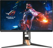 Asus ROG Swift PG259QN фото