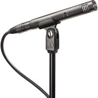 Audio-technica AT4021