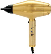 Babyliss GoldFX FXBDG1E фото