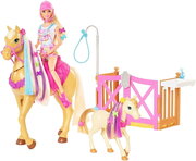 Barbie Groom and Care Playset GXV77 фото