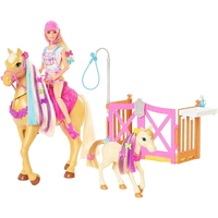 Barbie Groom and Care Playset GXV77