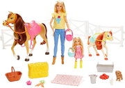 Barbie Horses and Accessories FXH15 фото