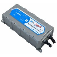 Battery service Expert PL-C010P