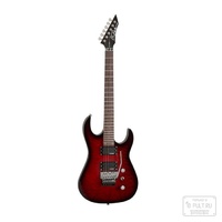 B.c. rich ASM Standard