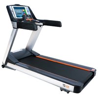 Bencarfitness TS-500