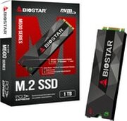 BIOSTAR M500 1TB M500-1TB фото