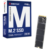 Biostar M760 M760-