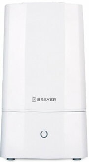 Brayer BR4913 фото