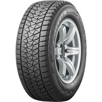 Bridgestone Blizzak DM-V2