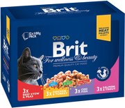 Brit Premium Pouches Family Plate 0.1 kg фото