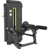 Bronze Gym BW-3001