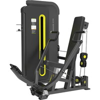 Bronze Gym BW-3008