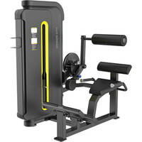 Bronze Gym BW-3031