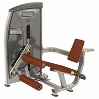 Bronze gym E-013