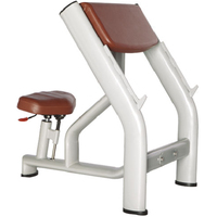 Bronze gym H-040A