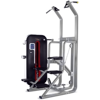 Bronze gym MT-008