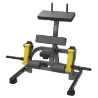 BRONZE GYM PL-1714