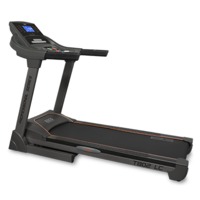 Bronze gym T802 LC