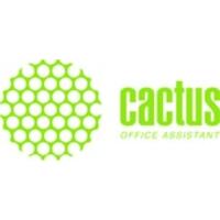 Cactus CS-B3P19A )