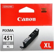 Canon CLI-451GY XL фото