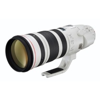 Canon EF 200-400mm f/4L IS USM Extender 1.4X