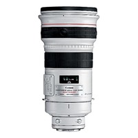 Canon EF 300mm f/2.8L IS USM