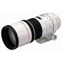 Canon EF 300mm f/4L IS USM