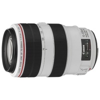 Canon EF 70-300mm f/4-5.6L IS USM