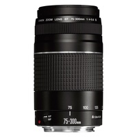 Canon EF 75-300mm f/4-5.6 III USM