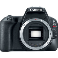 Canon EOS 200D Body