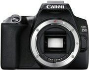 Canon EOS 250D Body фото