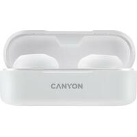 Canyon TWS-1