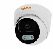 CARCAM CAM-8874P фото